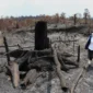 Ancaman Karhutla di Bukit Soeharto: Hutan Konservasi Terbakar di Tengah El Nino