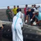 Hiu Paus Berukuran Delapan Meter Terdampar dan Mati di Pesisir Jembrana