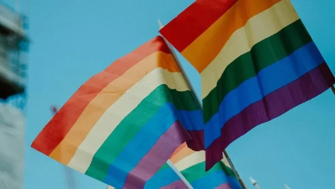 
					Otoritas Turki Tangkap 162 Orang dalam Operasi Anti-LGBTQ+ Bertajuk Lindungi Keluarga