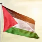 Palestina Apresiasi Deklarasi New Delhi pada KTT BRICS ke-18