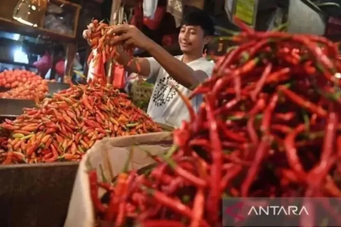 
					Harga Cabai Rawit Merah Tembus Rp95.000 per Kilogram di Tingkat Eceran Nasional