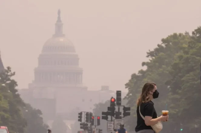 
					EPA Amerika Serikat Resmi Cabut Standar Emisi Karbon bagi Pembangkit Listrik Fosil