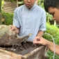Budidaya Lebah Kelulut Jadi Ruang Kemandirian Anak Disabilitas di Sawahlunto
