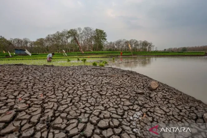 
					ADB Sebut Konflik Global dan Fenomena El Nino Jadi Ancaman Ekonomi Asia Pasifik