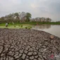 ADB Sebut Konflik Global dan Fenomena El Nino Jadi Ancaman Ekonomi Asia Pasifik