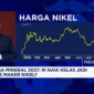 Bursa Mineral Akan Beroperasi 2027, Indonesia Berpeluang Menjadi Penentu Harga Nikel Dunia